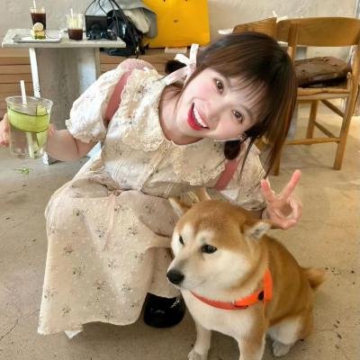 柏林一区